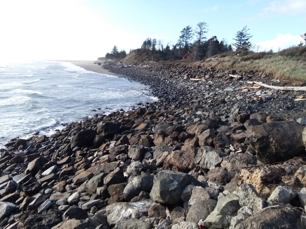 a rocky beach with trees and water (MyCoast AI)