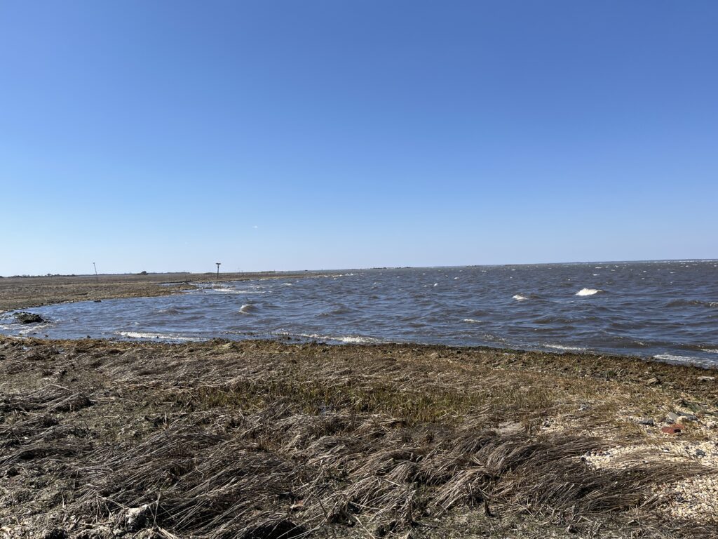 a beach with a body of water (MyCoast AI)