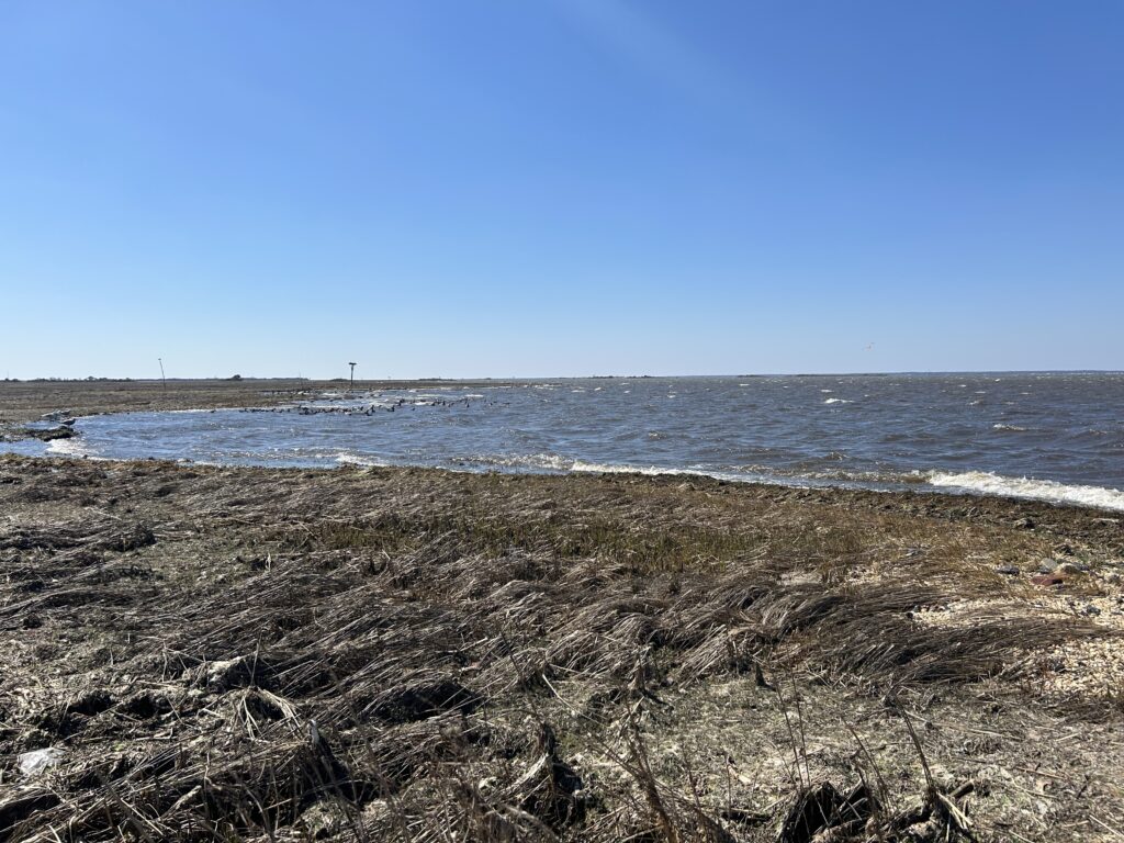 a beach with waves crashing (MyCoast AI)