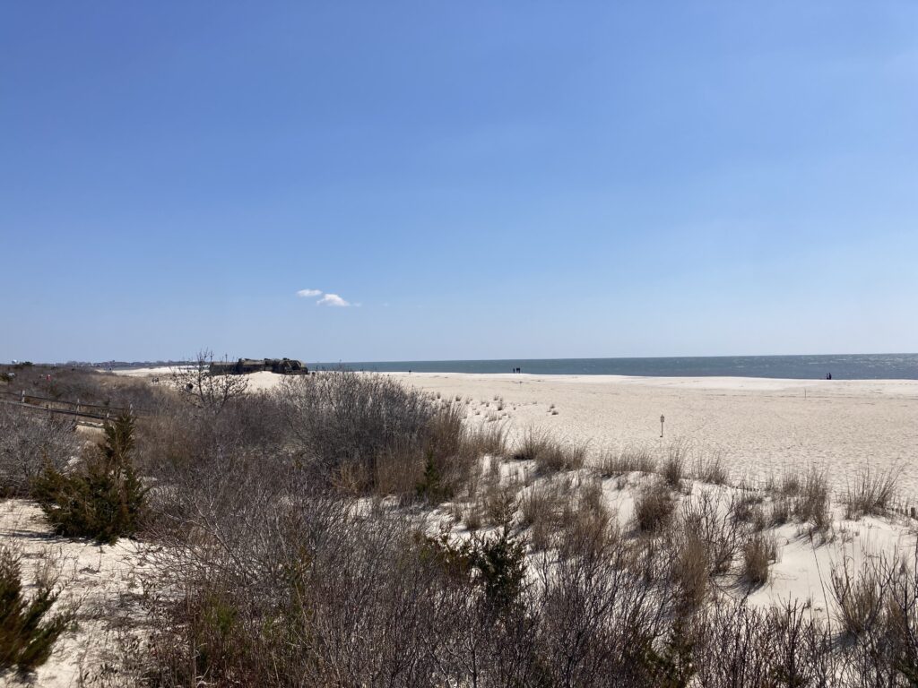 a field of dry grass (MyCoast AI)