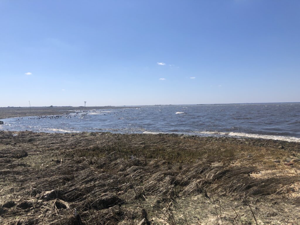 a sandy beach with water and blue sky (MyCoast AI)