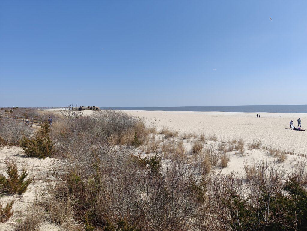 a group of people walking in a desert (MyCoast AI)