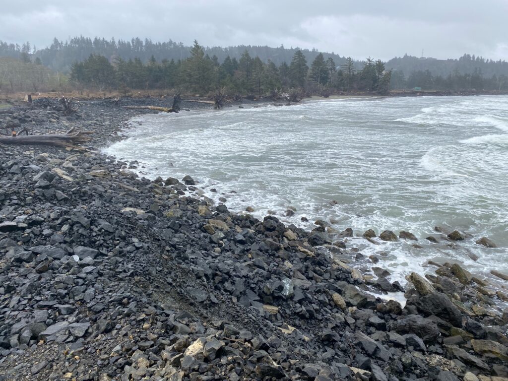 a rocky shore with trees in the background (MyCoast AI)