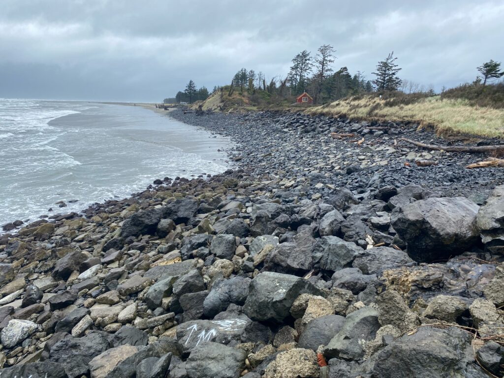 a rocky beach with trees and water (MyCoast AI)