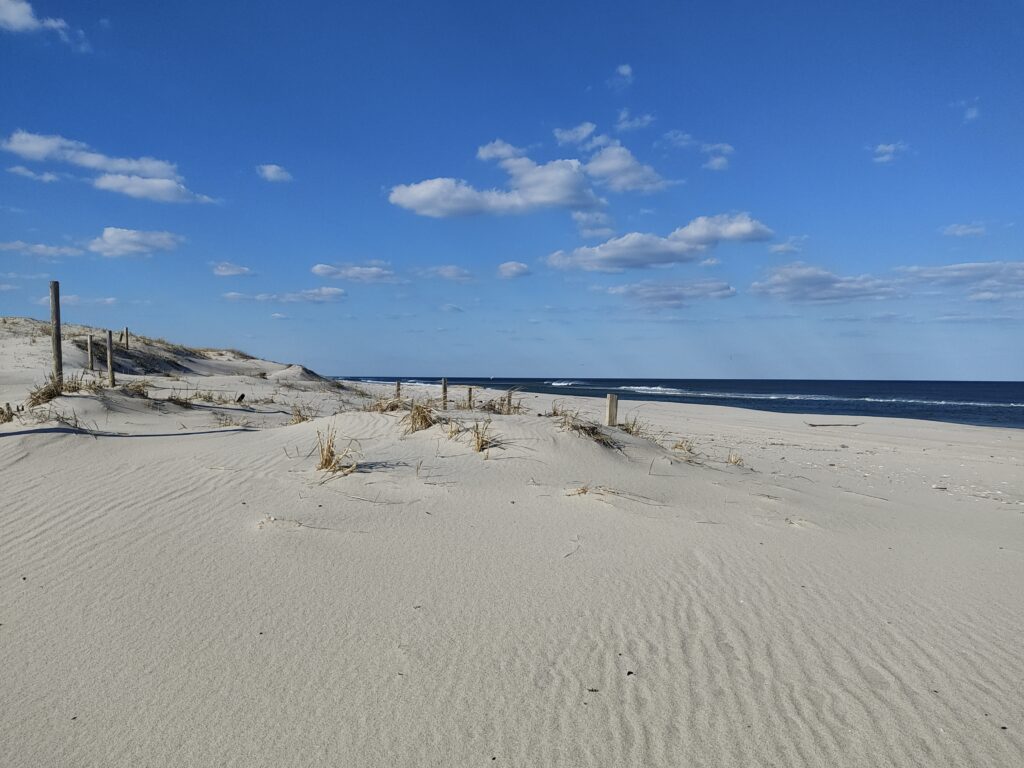 a sandy beach with a fence and water in the background (MyCoast AI)