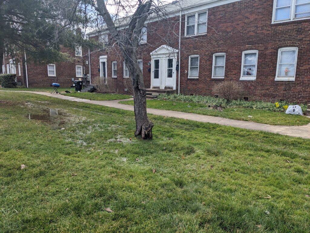 a tree in front of a brick building (MyCoast AI)
