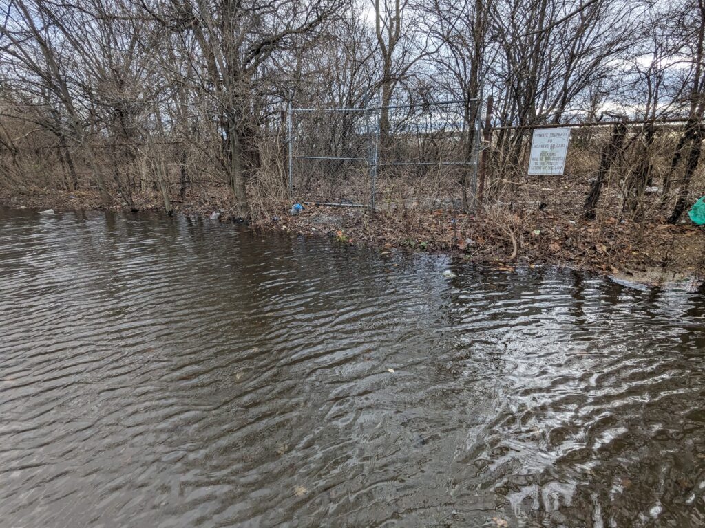 a flooded area with trees (MyCoast AI)
