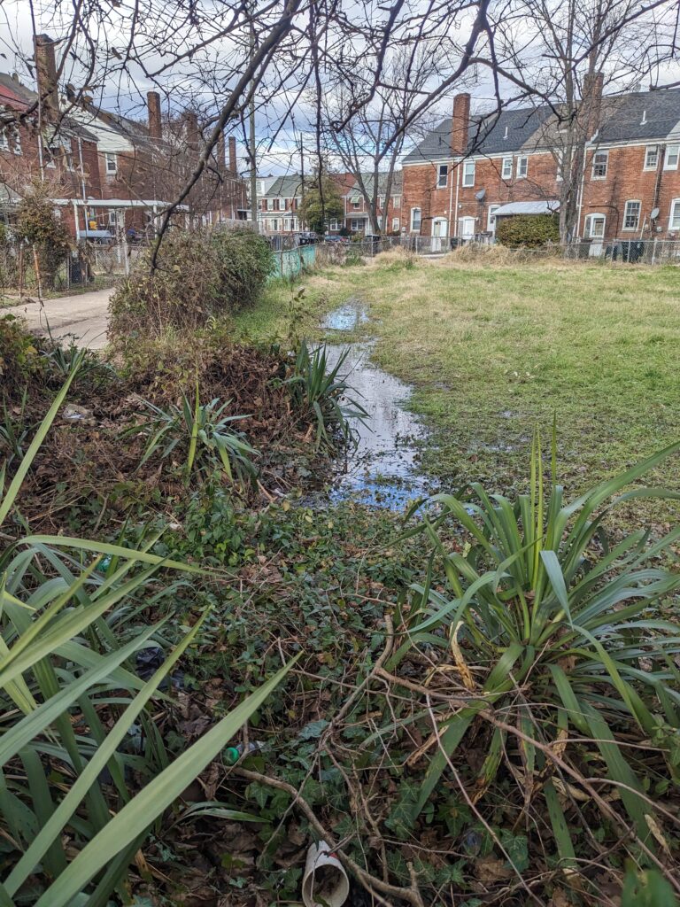 a small pond in a yard (MyCoast AI)