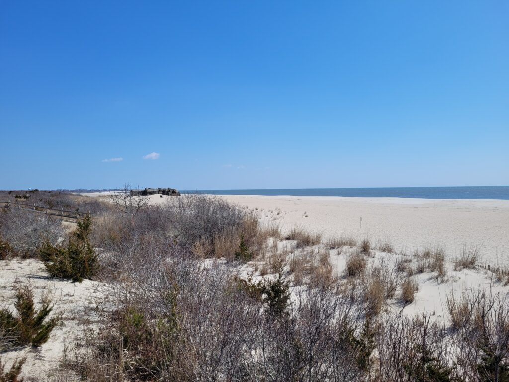 a field of dry grass (MyCoast AI)