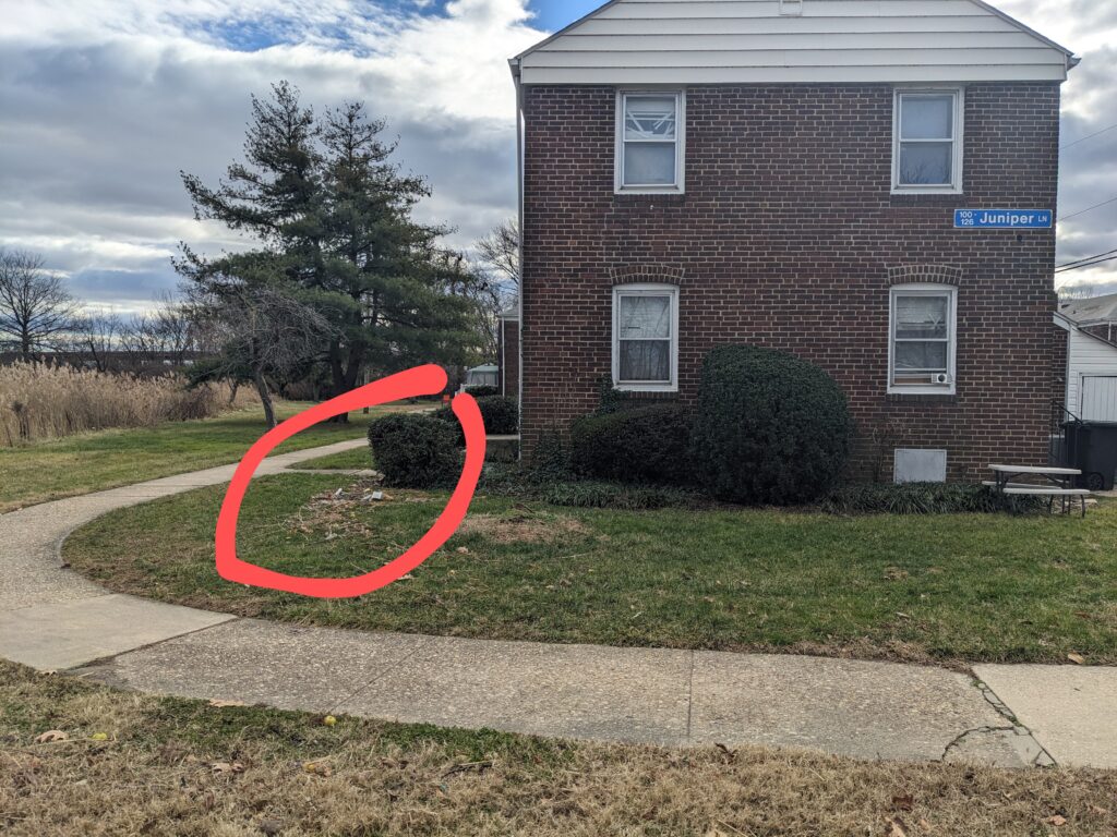 a red frisbee in front of a brick building (MyCoast AI)