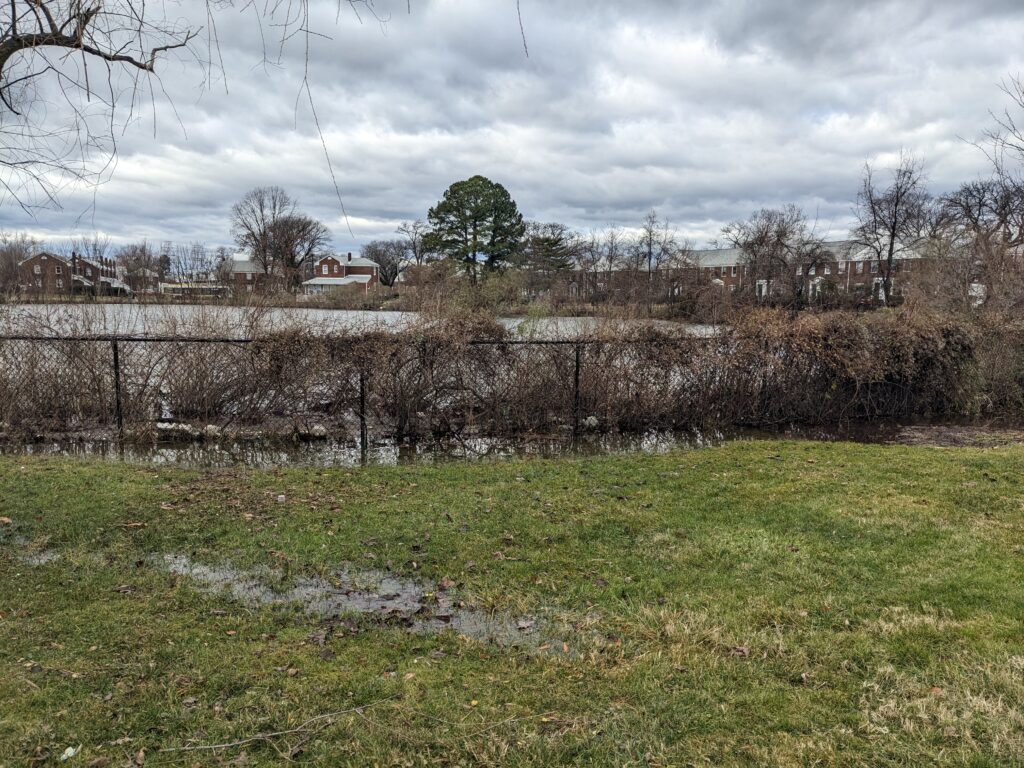 a large field with a fence and trees in the background (MyCoast AI)