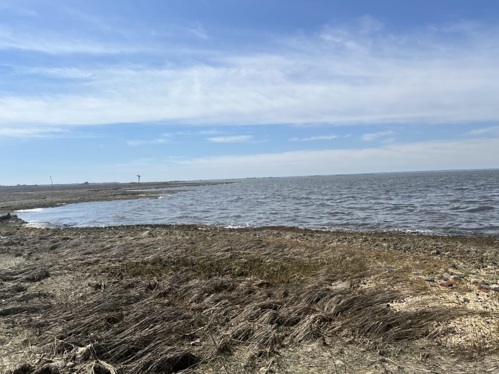 a beach with a body of water (MyCoast AI)