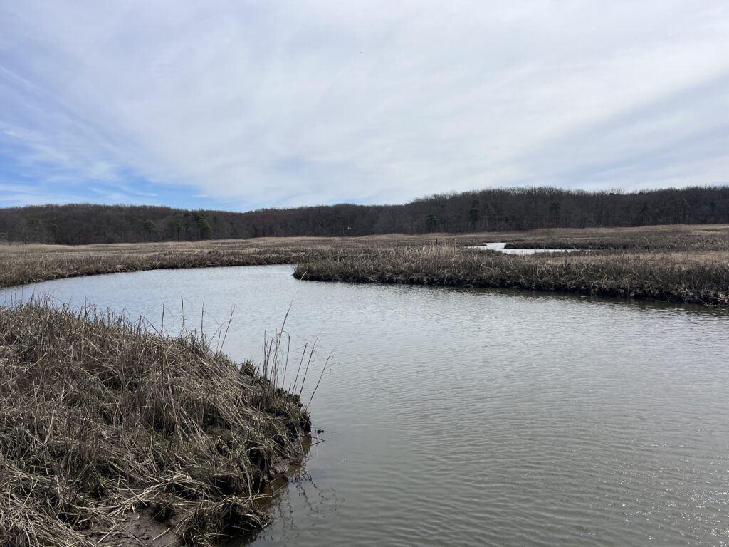 a river with snow on the banks (MyCoast AI)