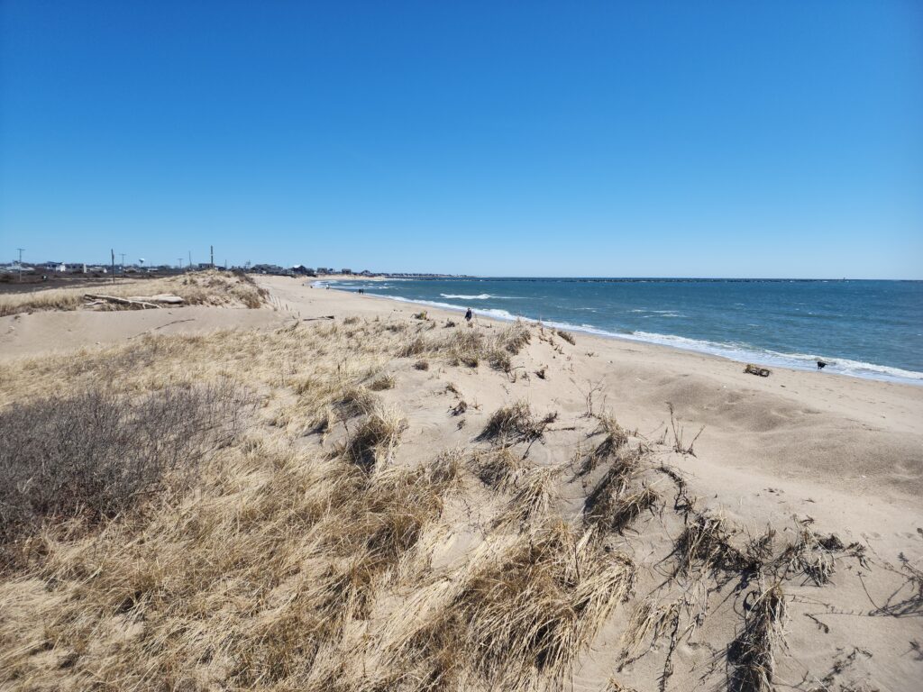 a sandy beach with water and blue sky (MyCoast AI)