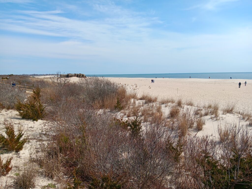 a sandy beach with bushes and people (MyCoast AI)