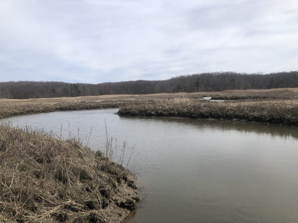 a body of water with grass and trees around it (MyCoast AI)