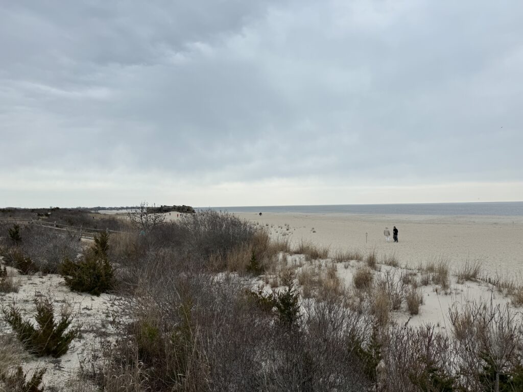 a person walking in a field (MyCoast AI)