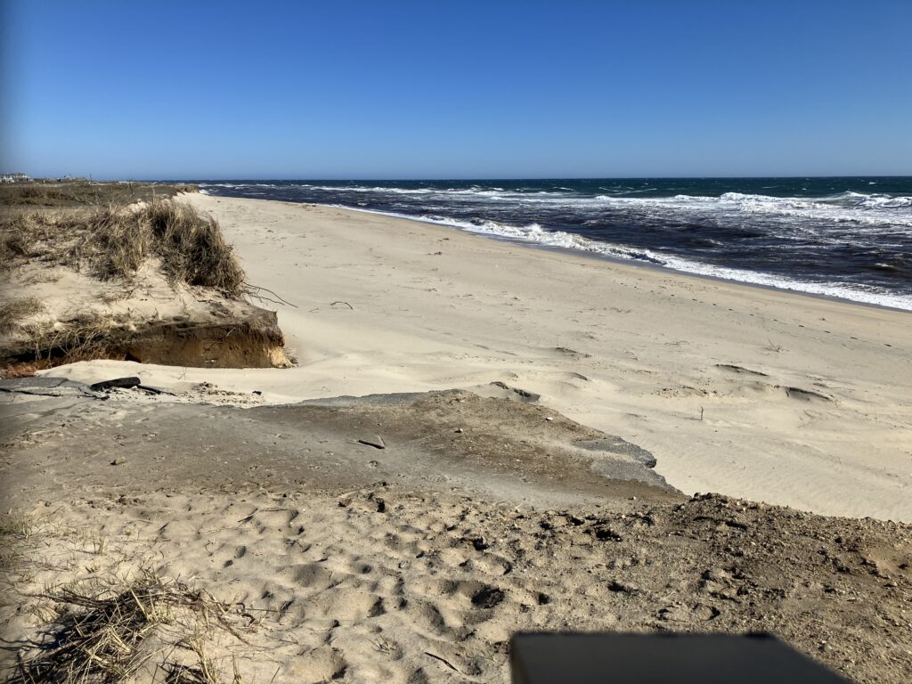 a sandy beach with waves crashing (MyCoast AI)