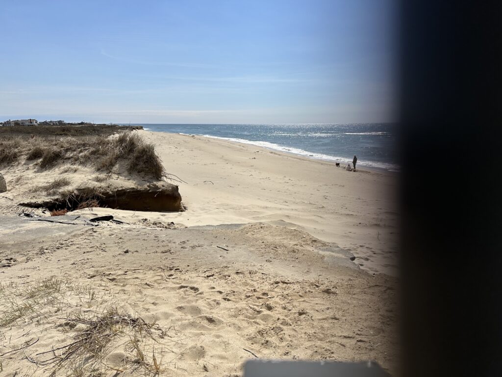 people walking on a beach (MyCoast AI)