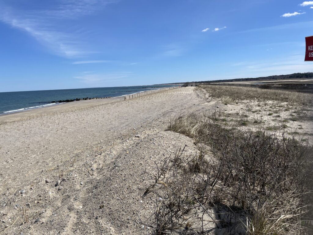 a sandy beach with bushes and water (MyCoast AI)