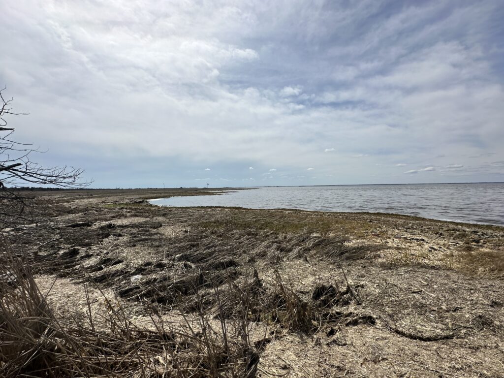 a beach with a body of water in the background (MyCoast AI)