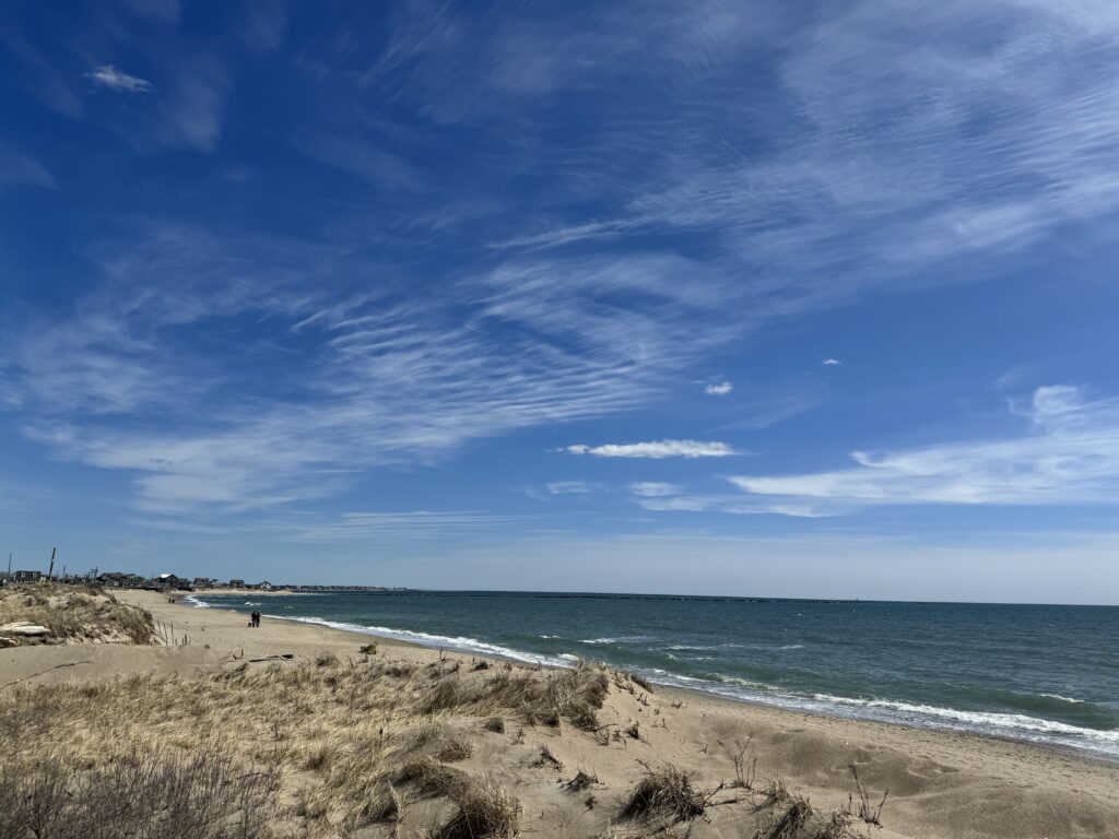 a beach with a body of water and blue sky (MyCoast AI)