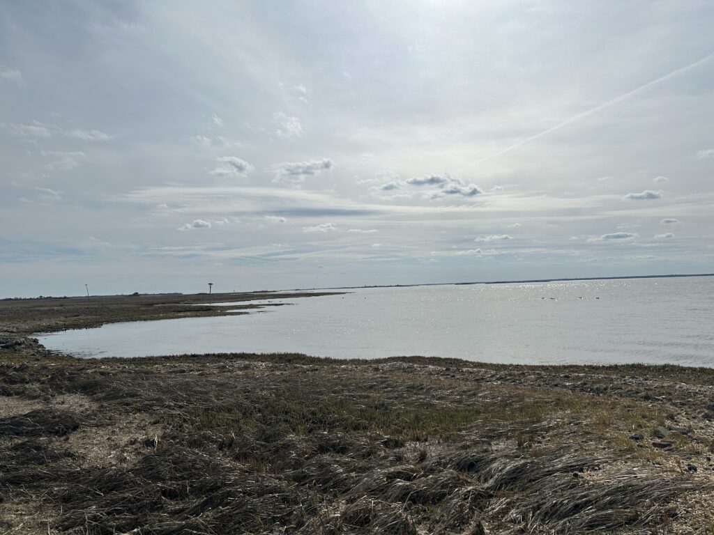 a beach with a body of water (MyCoast AI)