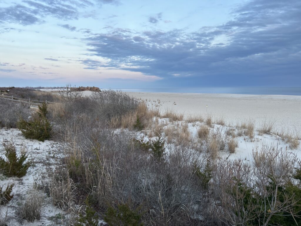 a field of snow and bushes (MyCoast AI)