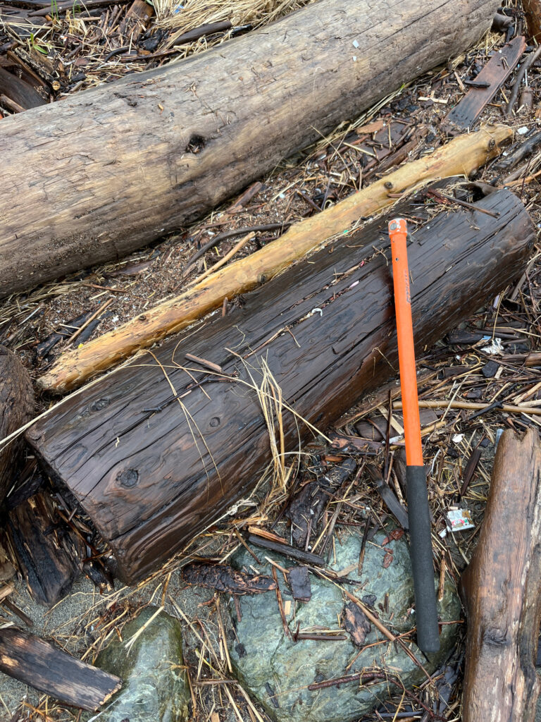 a shovel in a pile of wood (MyCoast AI)