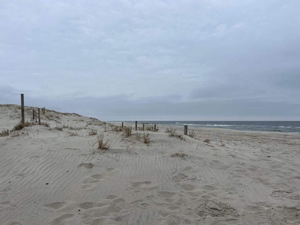 a sandy beach with a fence (MyCoast AI)