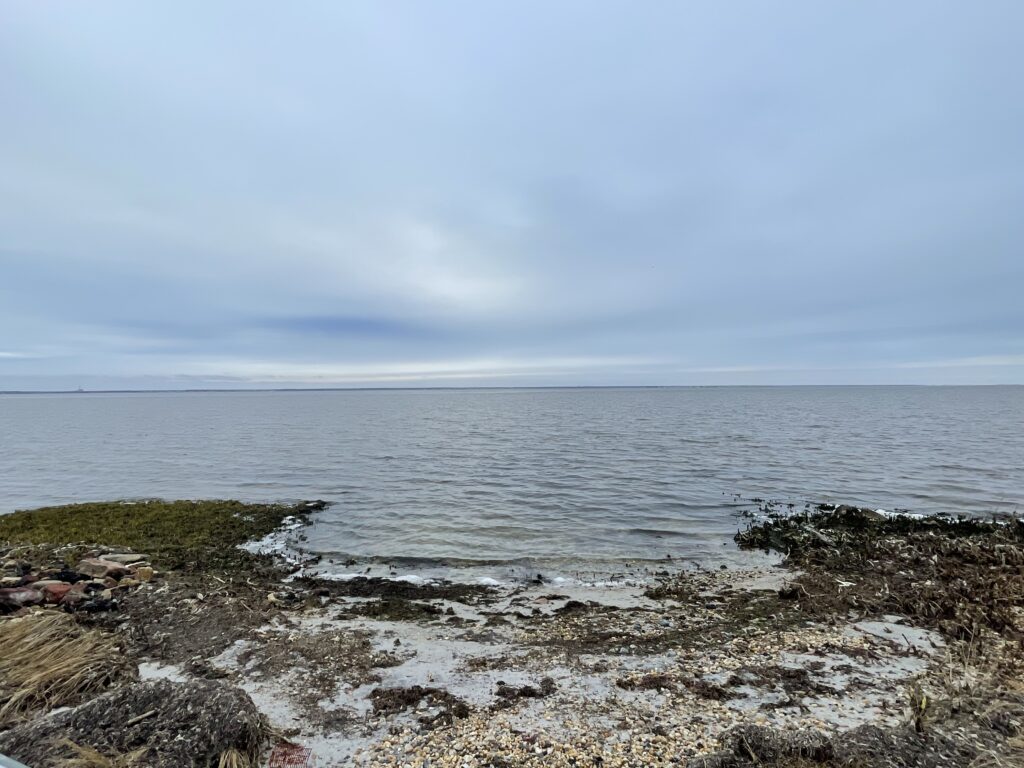 a rocky beach with a body of water in the background (MyCoast AI)