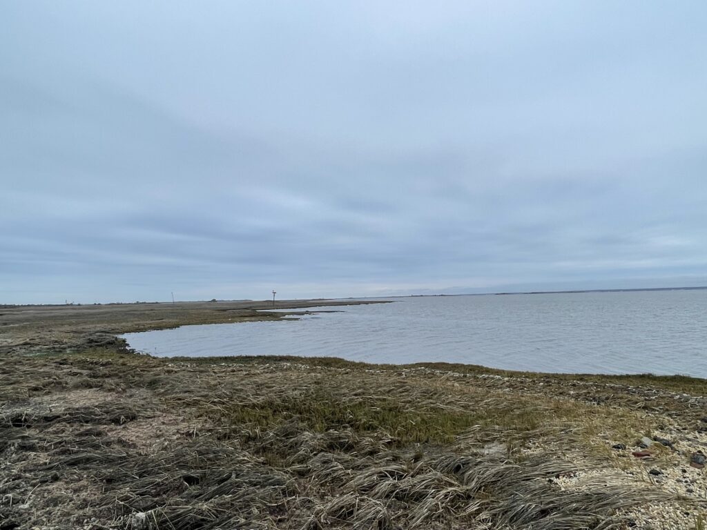 a beach with a body of water (MyCoast AI)