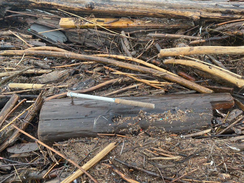 a broken piece of wood (MyCoast AI)