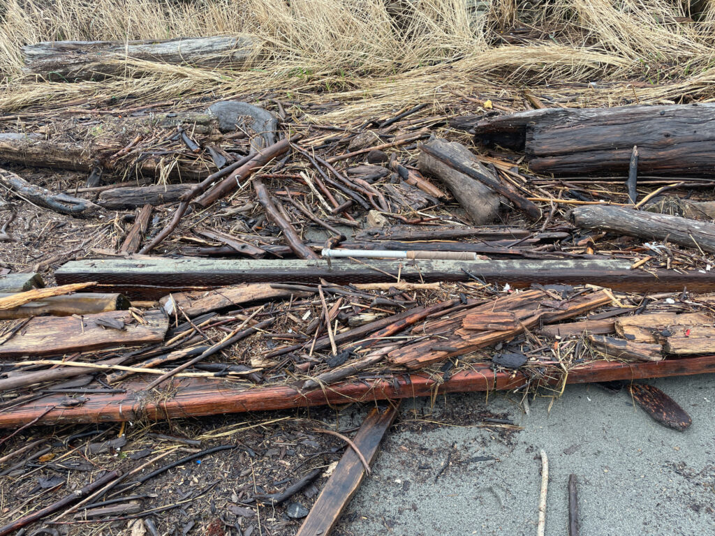 a pile of wood (MyCoast AI)