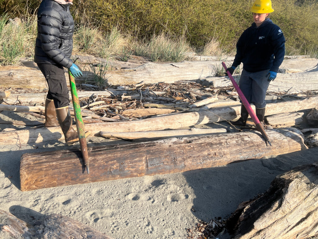 a man and woman shoveling dirt (MyCoast AI)