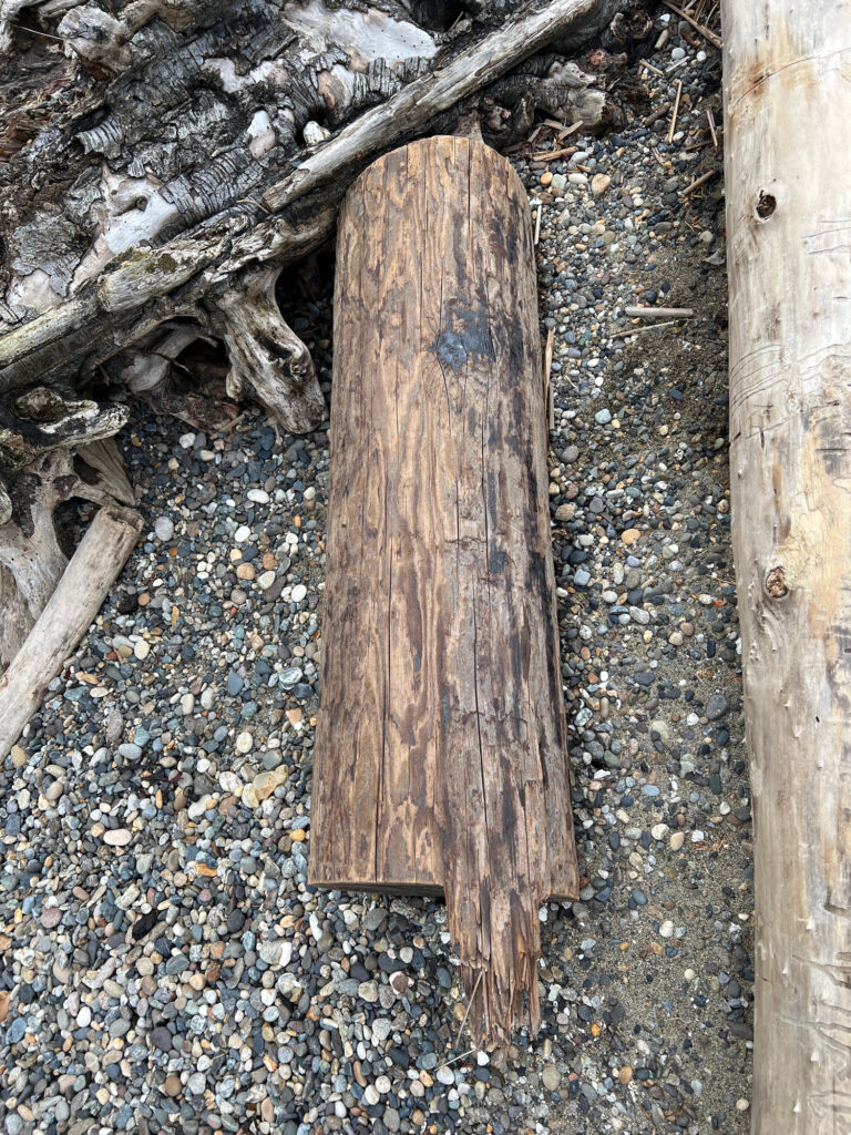 a wooden post on a rocky ground (MyCoast AI)
