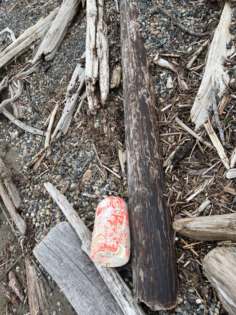 a piece of wood on the ground (MyCoast AI)