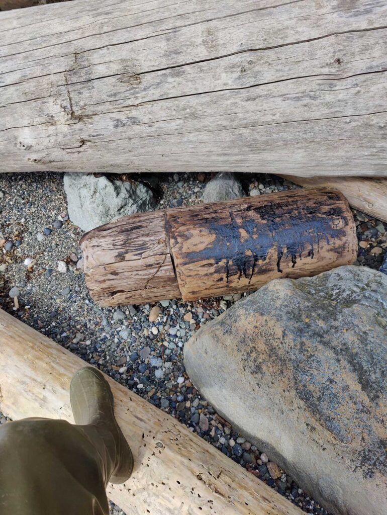 a person's foot on a rock (MyCoast AI)