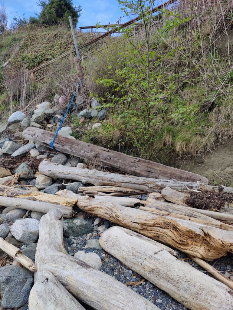 a pile of logs and a blue rope on a rocky hillside (MyCoast AI)
