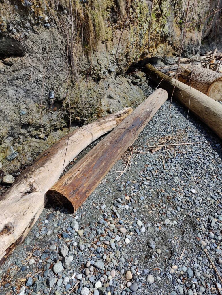 a railroad track with rocks and trees (MyCoast AI)