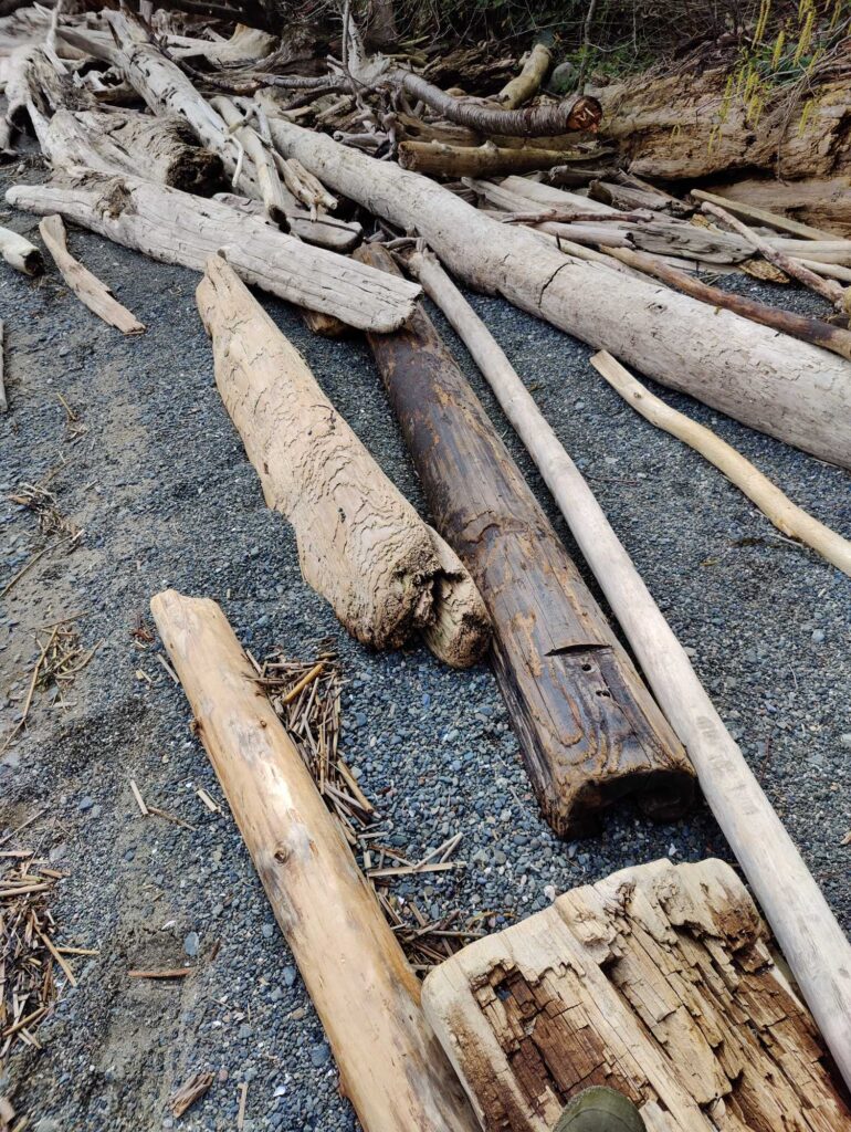 a pile of wood (MyCoast AI)