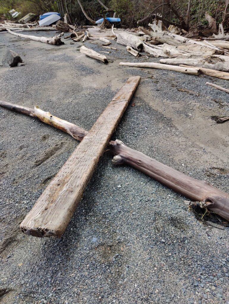a group of wood pieces on the ground (MyCoast AI)