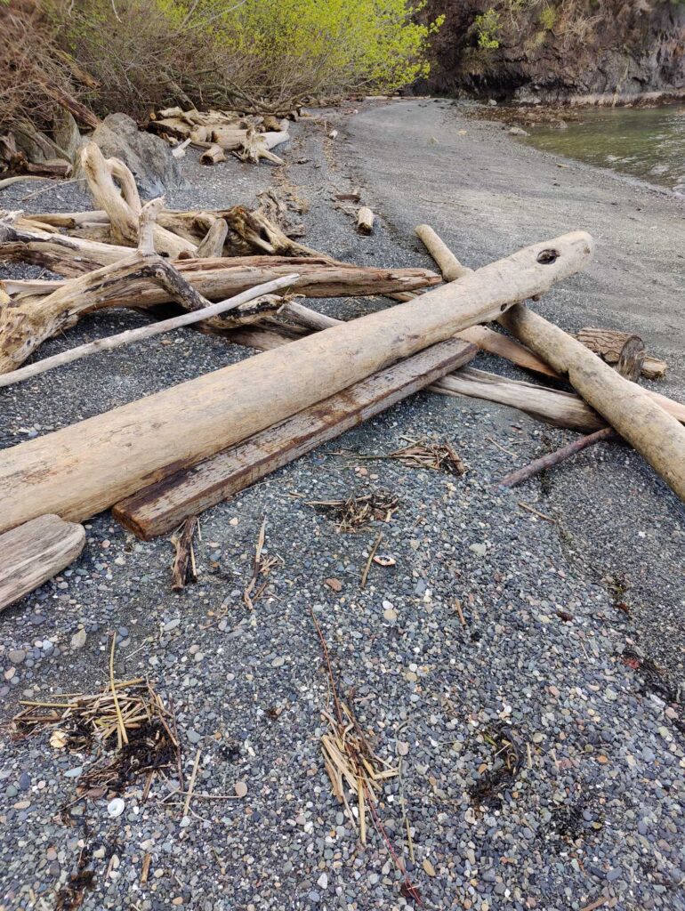 a group of logs on a beach (MyCoast AI)