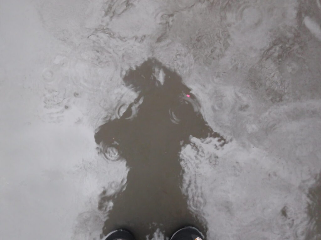 a person standing in the snow (MyCoast AI)