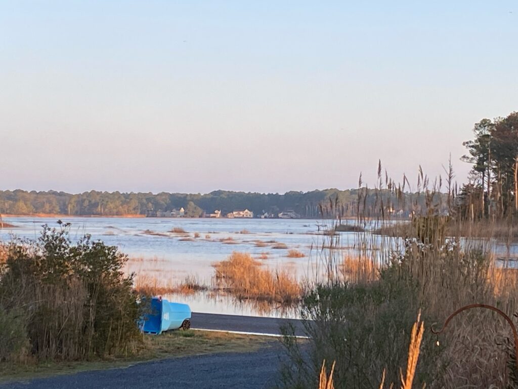 a blue box on a road by a lake (MyCoast AI)