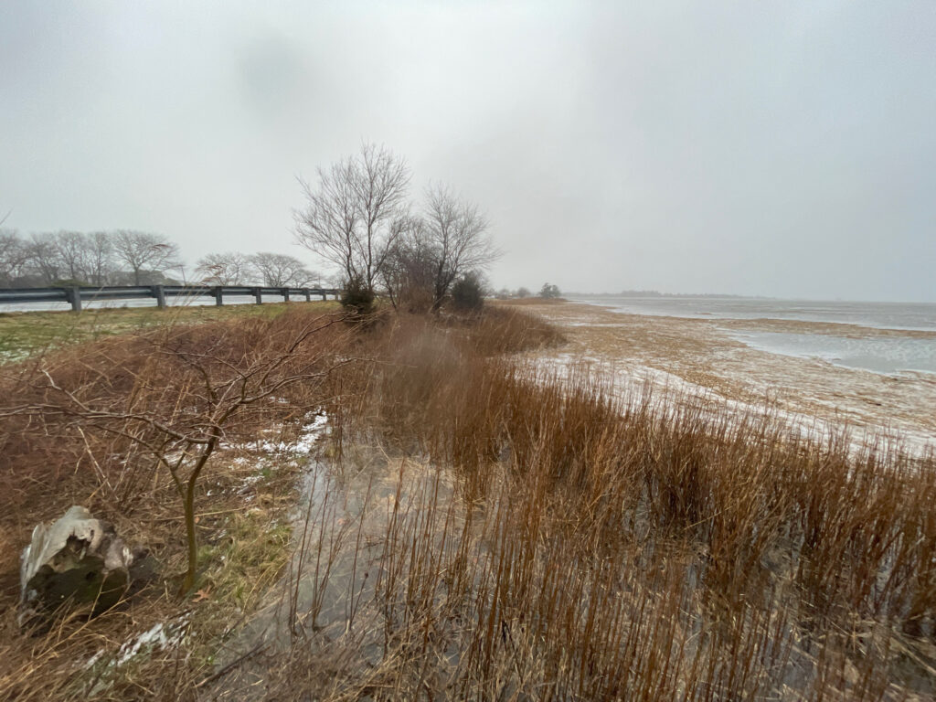 a field of tall grass with a bridge in the background (MyCoast AI)