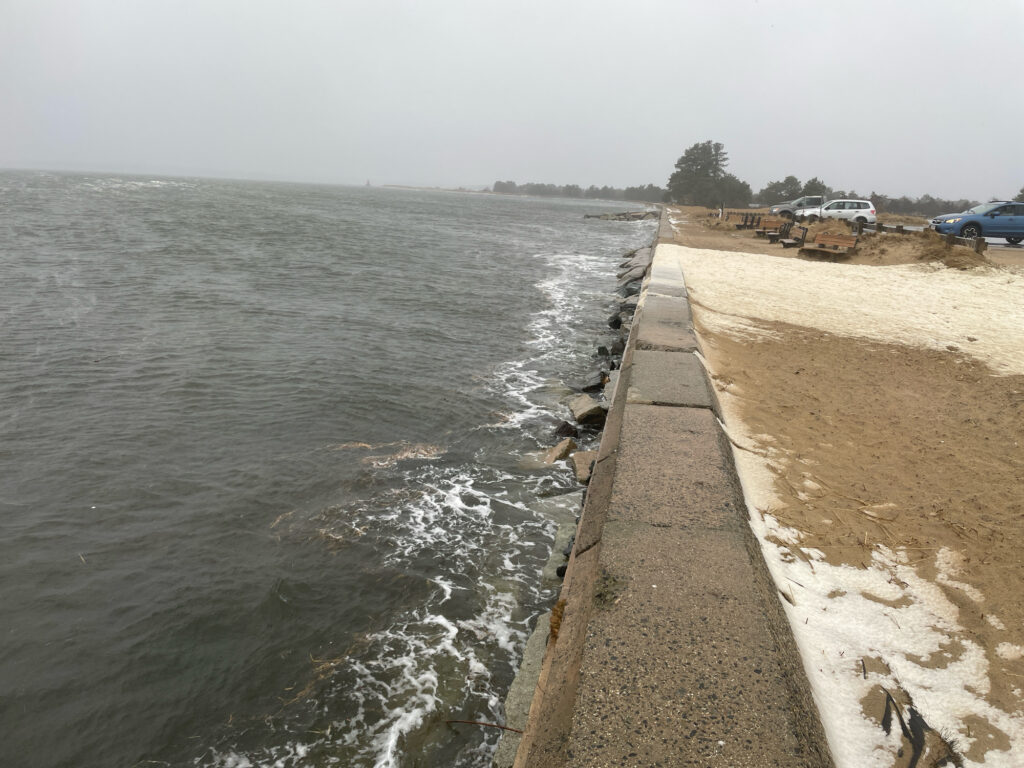 a body of water with a beach and cars by it (MyCoast AI)