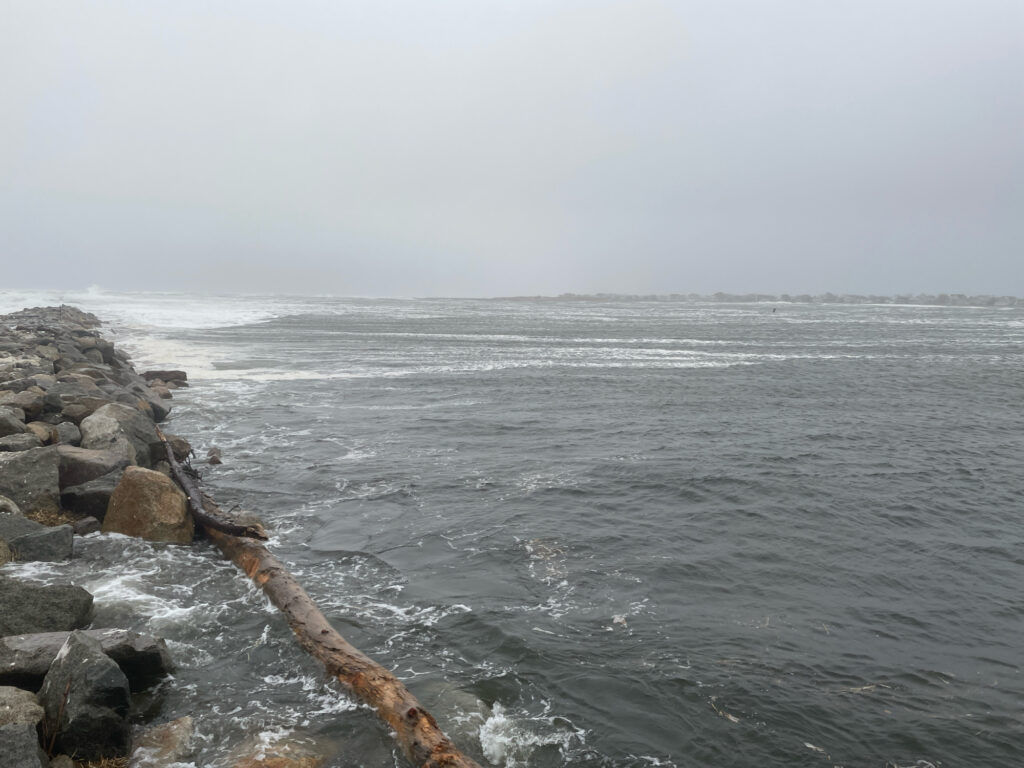 a rocky beach with waves crashing (MyCoast AI)