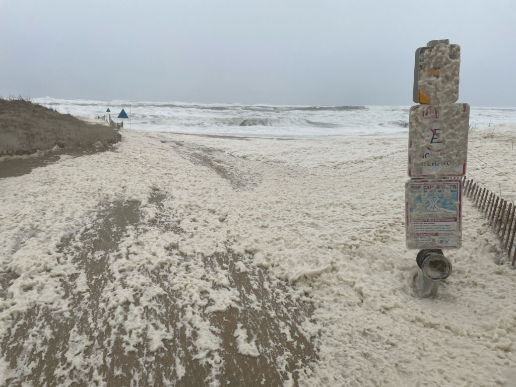 a post in the sand (MyCoast AI)
