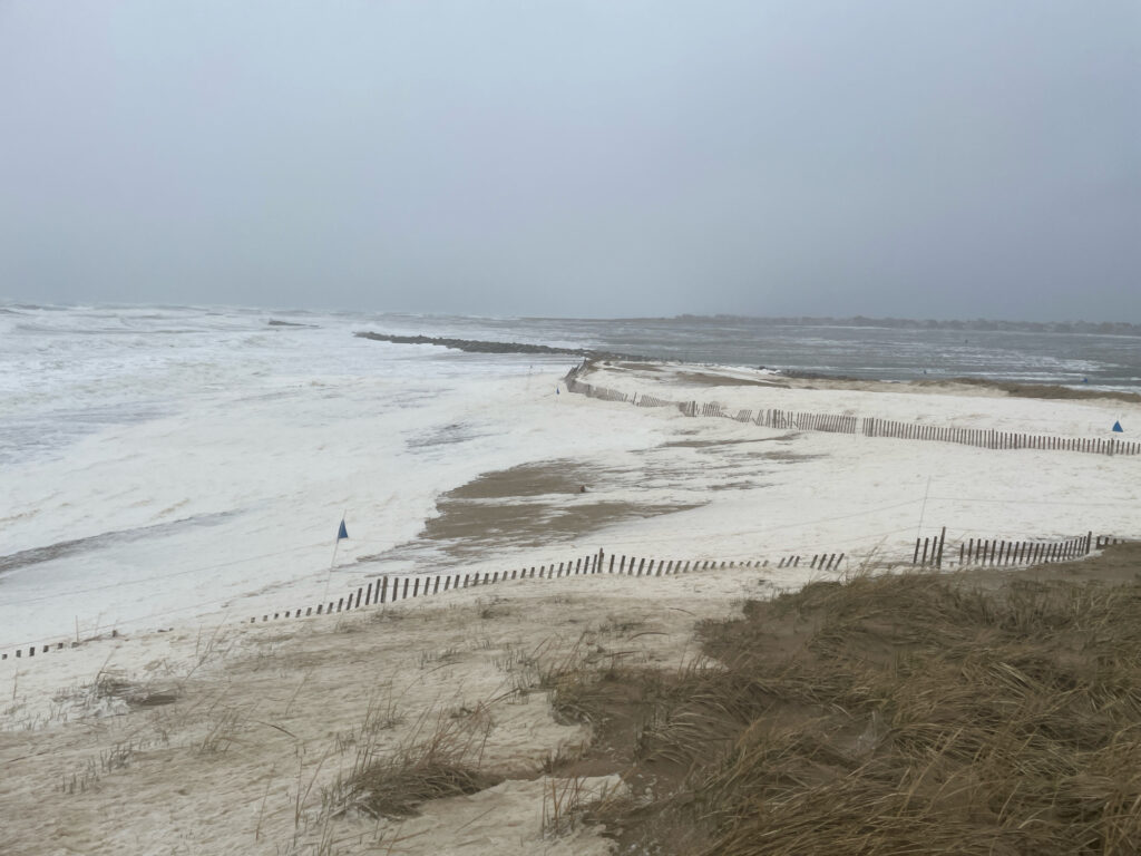 a beach with sand and water (MyCoast AI)